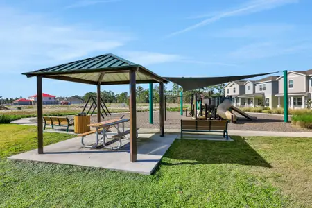 Serenade at Ovation by Dream Finders Homes in Winter Garden - image 3