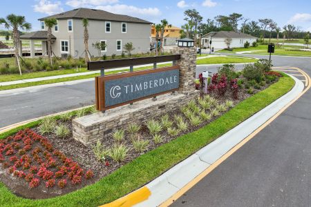 Chapel Crossings by M/I Homes in Wesley Chapel - photo 30 30