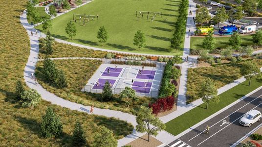 Community pickleball courts amenity