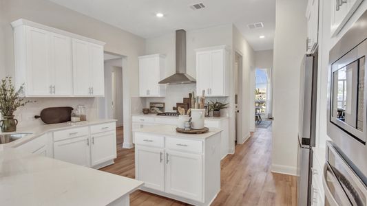 Lively Ranch Emerald by D.R. Horton in Georgetown - photo 20 20