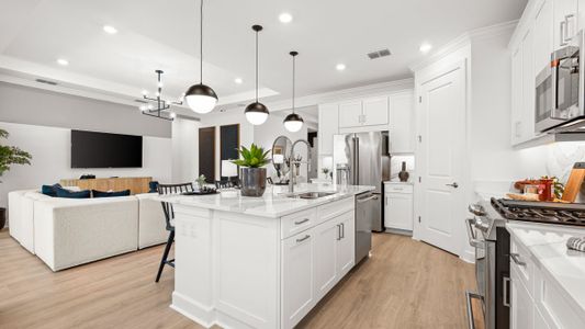 Esplanade at Skye Ranch 75