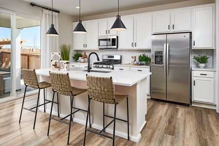 Sierra at Ascent Village by Richmond American Homes in Littleton - photo 25 25