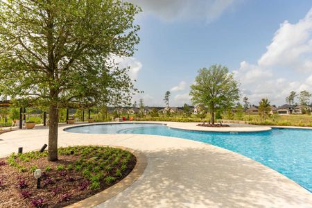 Evergreen by Highland Homes in Conroe - image 15