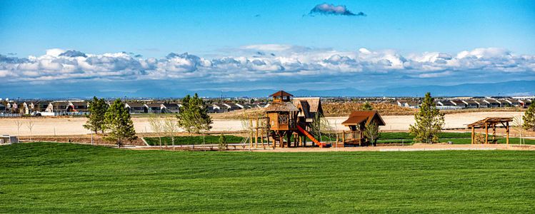 Painted Prairie Cottage by David Weekley Homes in Aurora - photo 6 6