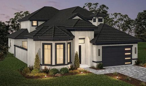 Hampton Green at Providence by ABD Development in Davenport - image 15