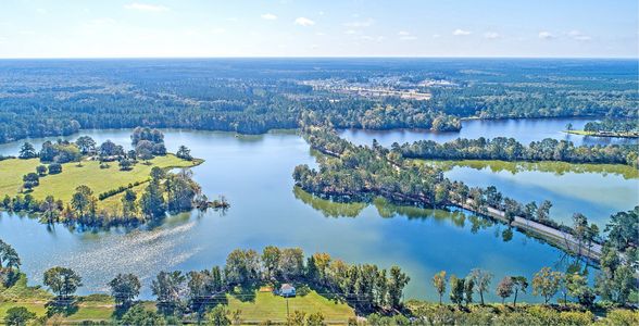 Horizons at Summers Corner | 55+: The Cottages by Lennar in Summerville - photo 7 7