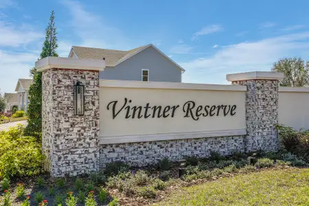 Vintner Reserve by Beazer Homes in Clermont - image