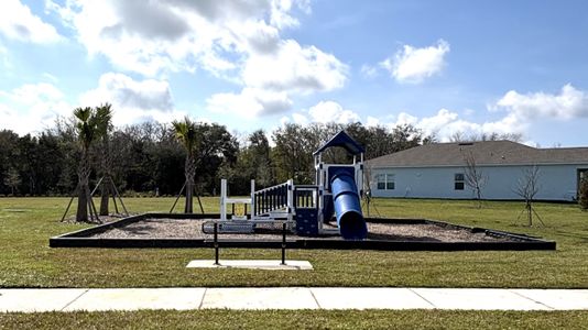 Brooks Landing by Ryan Homes in Titusville - photo 3 3