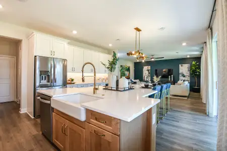 Vintner Reserve by Beazer Homes in Clermont - image 6