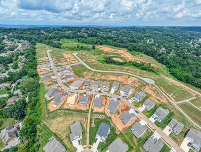 Ivey Farms - The Vintage Collection by Goodall Homes in Farragut - image 12