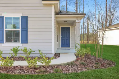 Wilford Preserve by Dream Finders Homes in Orange Park - photo 45 45