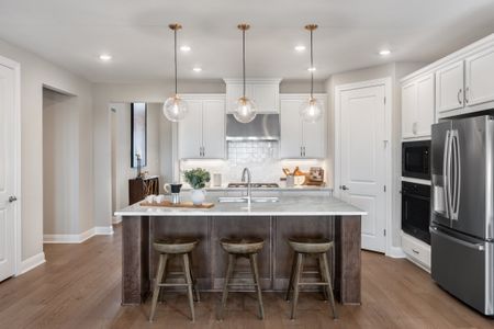 Nolina by Taylor Morrison in Georgetown - image 3