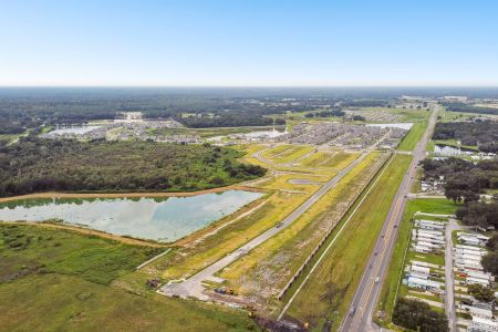 Cobblestone by M/I Homes in Zephyrhills - photo 47 47