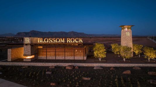 Escena at Blossom Rock by David Weekley Homes in Apache Junction - photo 0