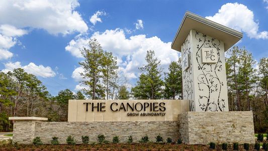 The Canopies by D.R. Horton in Splendora - photo