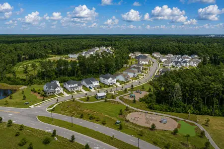 Point Hope - Village Collection by David Weekley Homes in Charleston - image 12