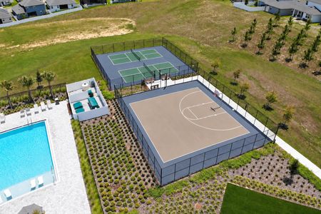 Hills of Minneola by Dream Finders Homes in Minneola - image 14