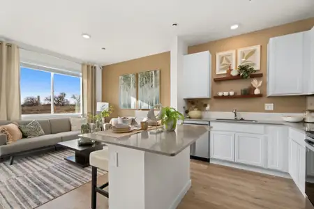 Timnath Ranch by Baessler Homes in Timnath - image 7