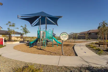 Suelo at Legado West by David Weekley Homes in Queen Creek - image