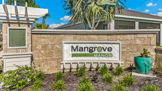 Mangrove Manor by D.R. Horton in Apollo Beach - photo 1 1