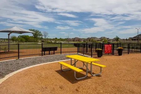 Trinity Falls by Highland Homes in McKinney - image 4
