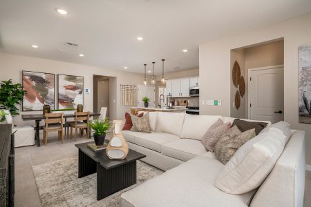 Wildera – Canyon Series by Risewell Homes in San Tan Valley - image 5