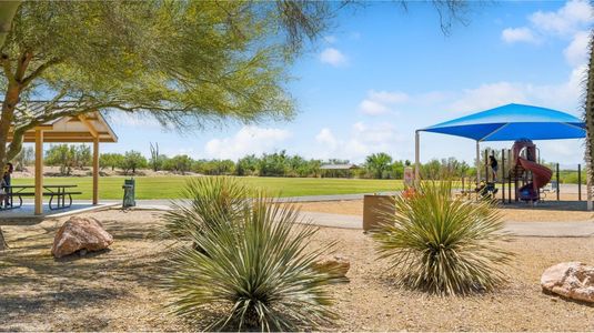 Sycamore Canyon: Destiny Collection 17