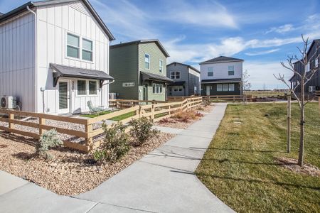 Bloom Cottages 62