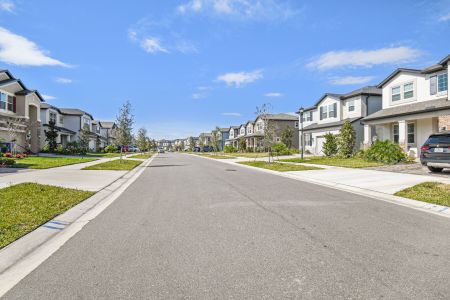 Chapel Crossings by M/I Homes in Wesley Chapel - photo 40 40