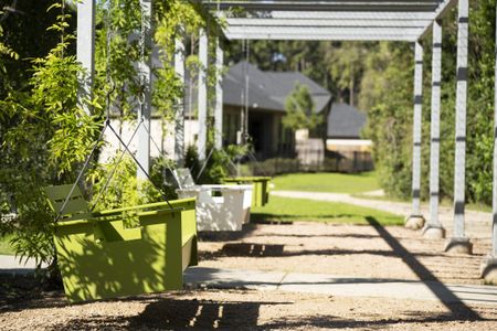 Audubon by Westin Homes in Magnolia - image 16