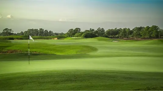 Ibis Landing Golf & Country Club: Carriage Homes by Lennar in Lehigh Acres - image