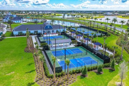 Palmera at Wellen Park by M/I Homes in Venice - image 12