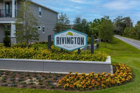 Rivington by Dream Finders Homes in Debary - photo 7 7