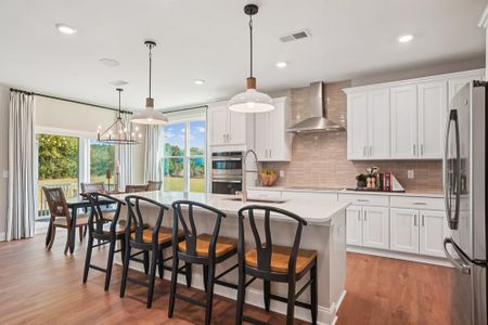 Sauls Landing by Caruso Homes in Zebulon - image 6
