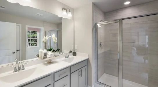 Carolina Springs: Designer 11