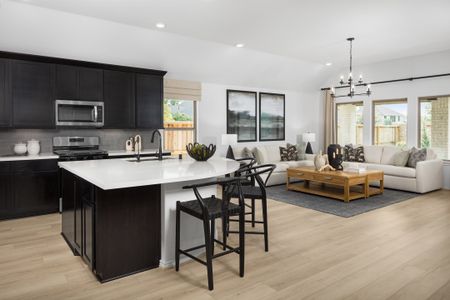 The Highlands 45' by Coventry Homes in Porter - image 15