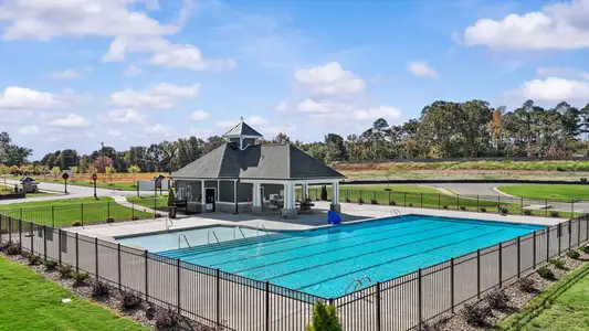 Harrier Point by DRB Homes in Woodruff - image 2