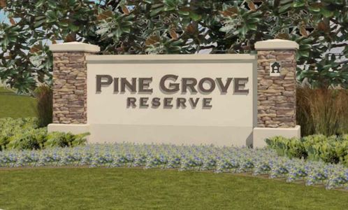 Pine Grove Reserve by Stanley Martin Homes in St. Cloud - image