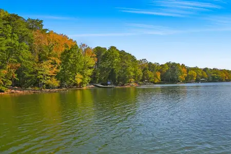 The Coves on Lake Wylie Towns by Taylor Morrison in Charlotte - image 3