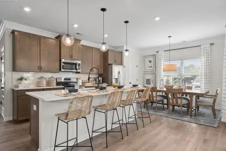 Wind Haven by Smith Douglas Homes in Ooltewah - image 20