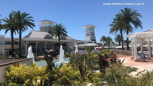 Abbott Park by D.R. Horton in Zephyrhills - photo 3 3