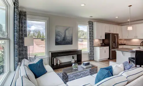 Bryton Crossing Townhomes by Eastwood Homes in Huntersville - image 13