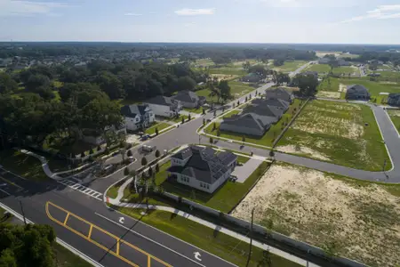 Willow Run by M/I Homes in Apopka - image