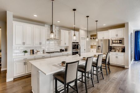 Independence by Dream Finders Homes in Elizabeth - photo 17 17