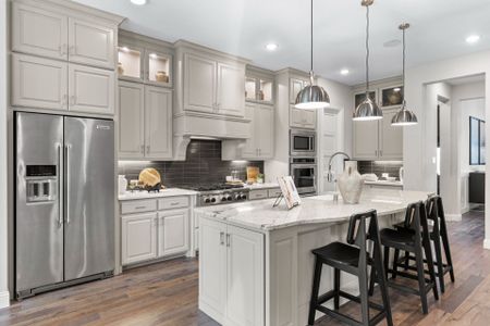 Star Trail by Coventry Homes in Prosper - photo 10 10