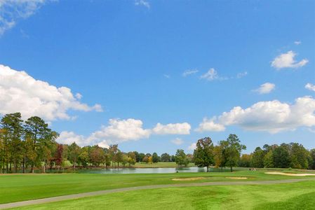 Pearces Landing Single Family Homes by Ryan Homes in Zebulon - photo 7 7