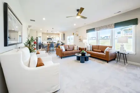 Sage Woods by Fischer Homes in Dallas - image 5