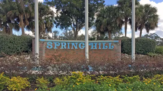 Spring Hill by Maronda Homes in Spring Hill - image
