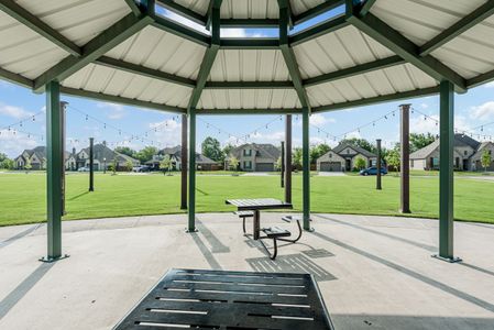 The Oasis at North Grove 75-80 by Bloomfield Homes in Waxahachie - photo 12 12