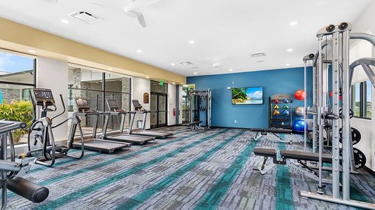 Reedy Isle: Classic 6